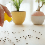 Featured image placeholder 16:9