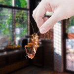 placeholder-16-9-ratio Featured image placeholder 16:9