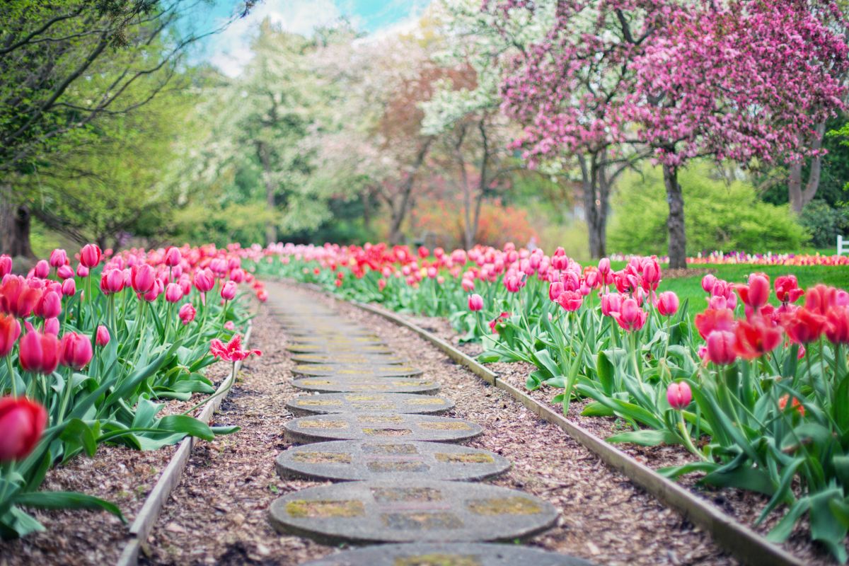 Créer une allée de jardin : matériaux et coût